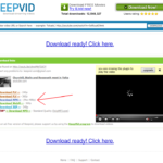 KeepVid.com's Download Page